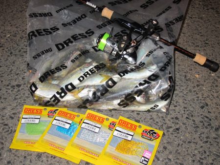 豆アジ　アジングラビット